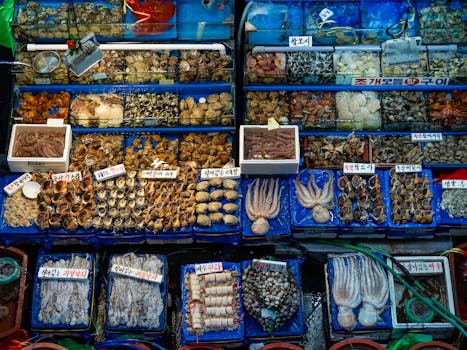 Explore abundant fresh seafood at a vibrant market in Seoul, South Korea.