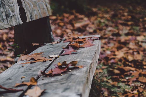 Free Brown Wooden Bench Stock Photo