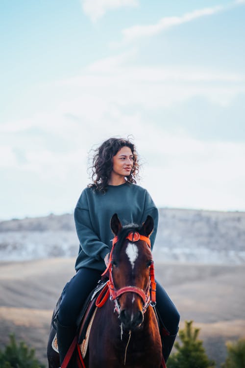 Δωρεάν στοκ φωτογραφιών με αγροτικός, άλογο, αναβάτης