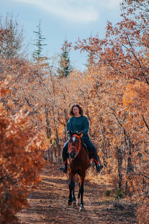Riding a Horse Among Autumn Trees