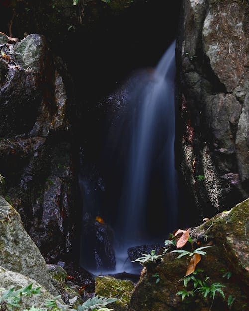 Kostnadsfri bild av bäck, dold, grotta