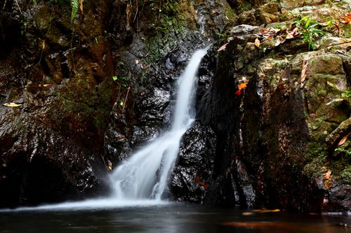 Free A tranquil waterfall cascading over mossy rocks in a vibrant forest landscape. Stock Photo