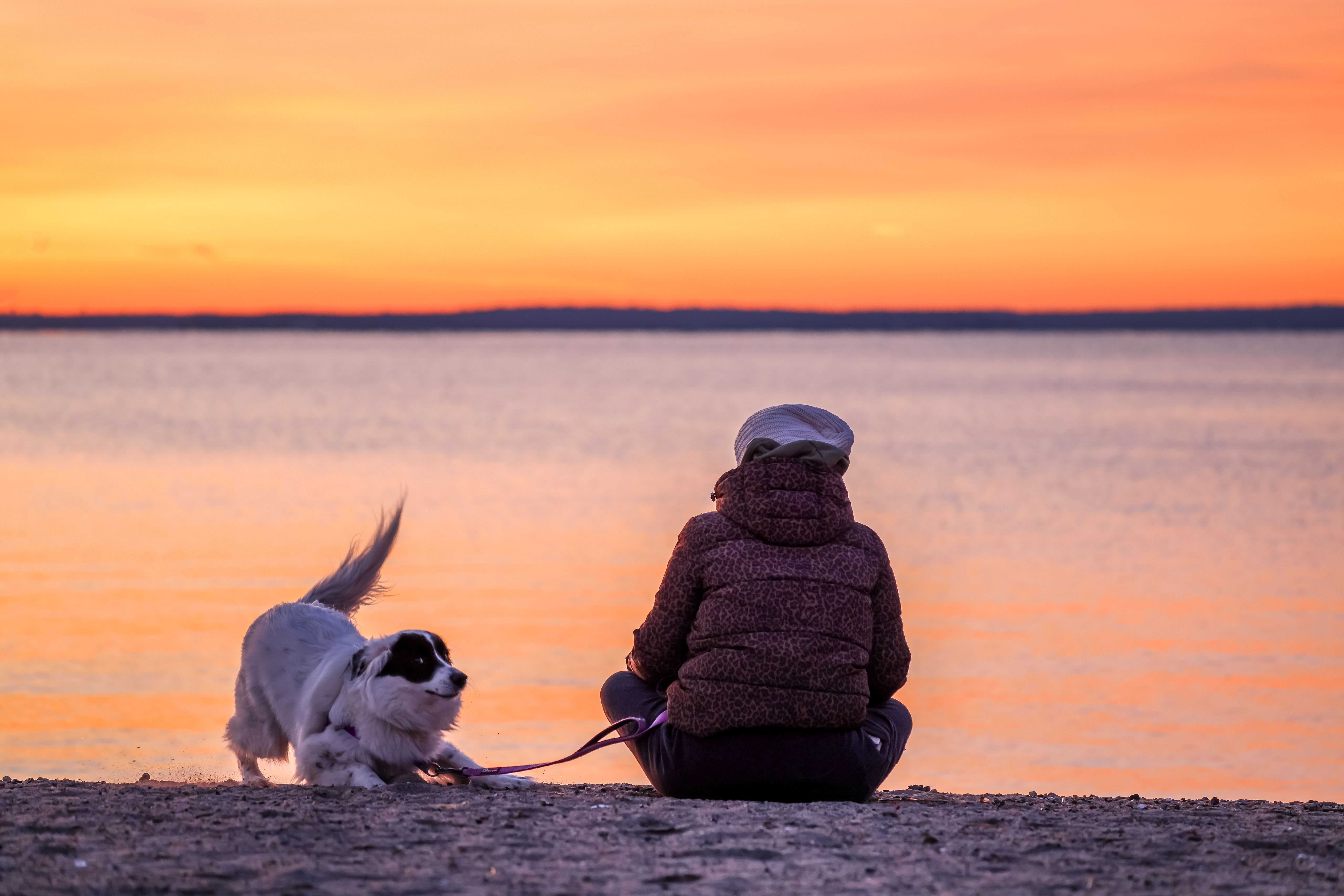 Connecticut Coastlines Exploring the Nutmeg State's Best Beaches