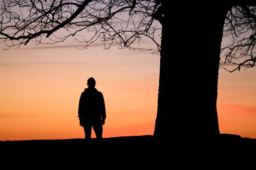 Free A lone figure stands beside a large tree silhouette against a vibrant sunset sky. Stock Photo