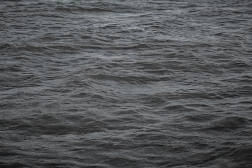 Black and White Photo of a Sea Surface 