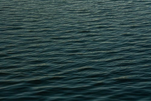 Photo of Dark Blue Calm Water Surface