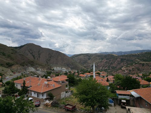 ağaçlar, arazi, binalar içeren Ücretsiz stok fotoğraf