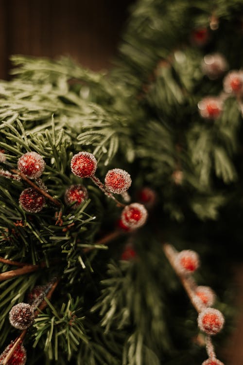 Christmas Decoration with Needle Branches