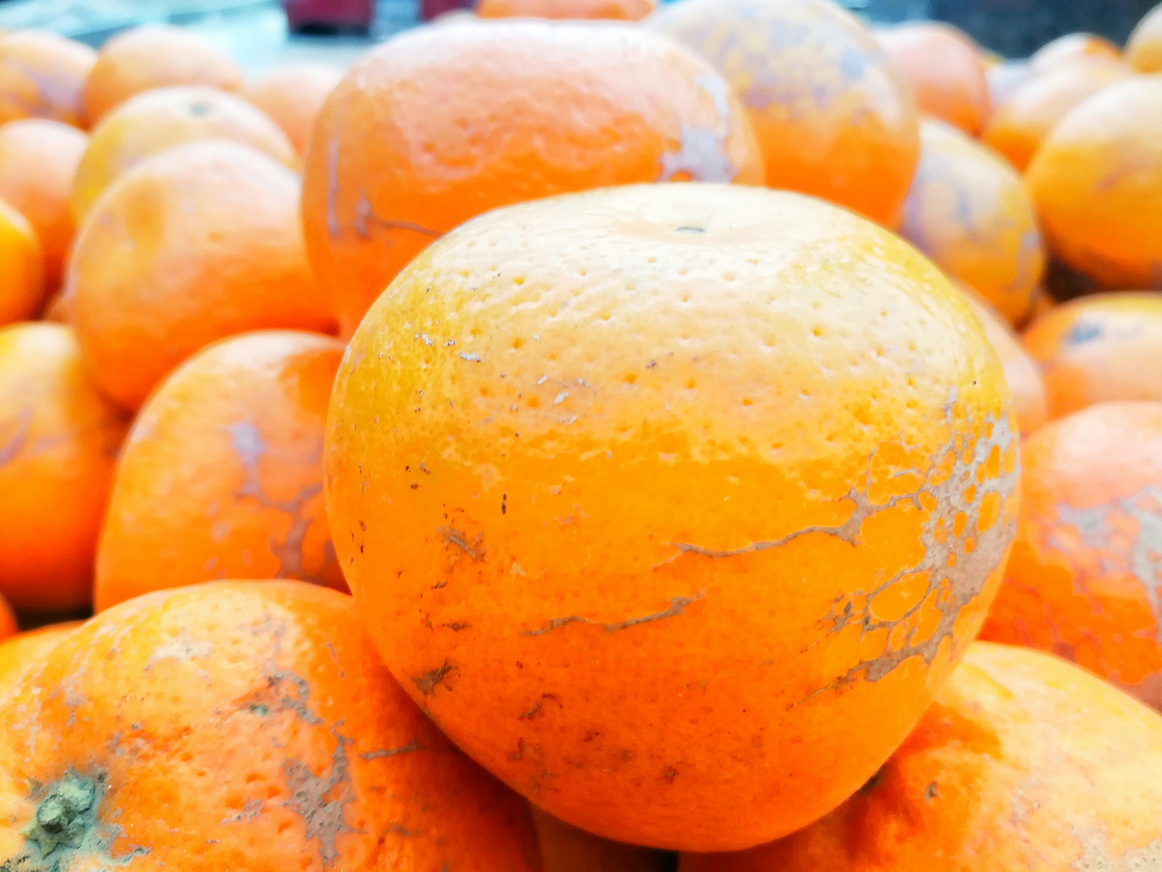 Free Stock Photo Of Natural Food Orange Orange Background