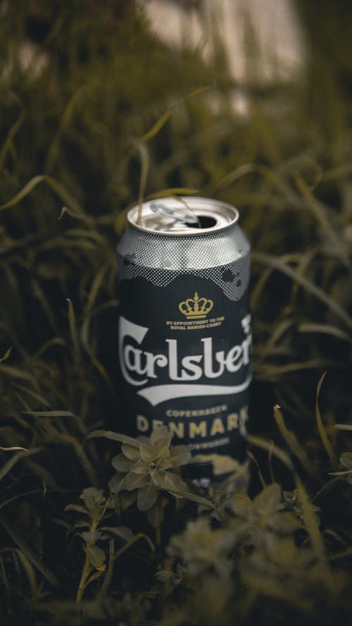 Gratis lagerfoto af alkohol, carlsberg, dåse