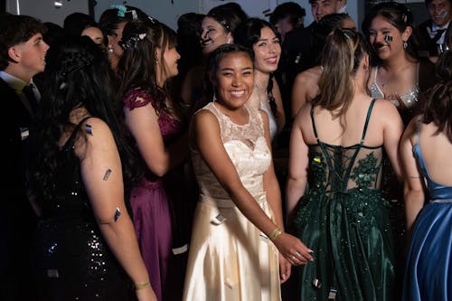 Free Teenage Boys and Girls in Evening Dresses at a Prom Party  Stock Photo