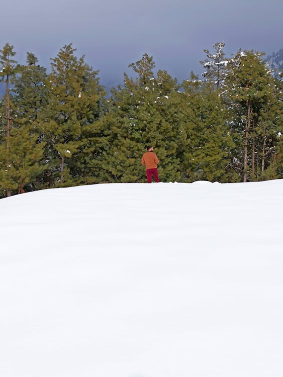 Man Walking in Snow towards Forest