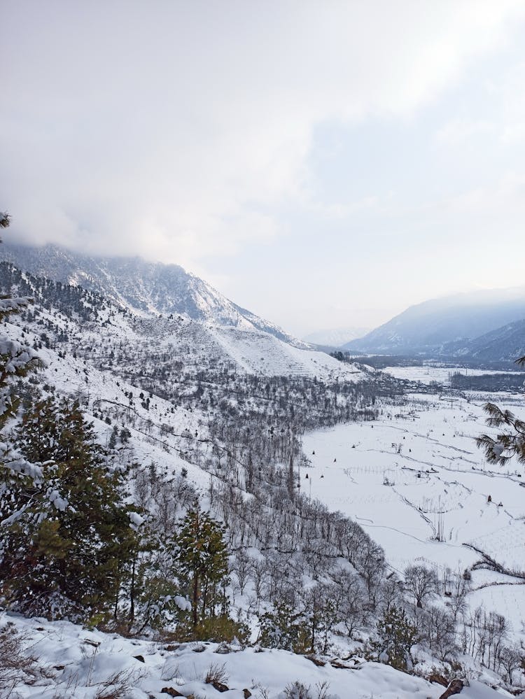 Hill In Snow In Winter