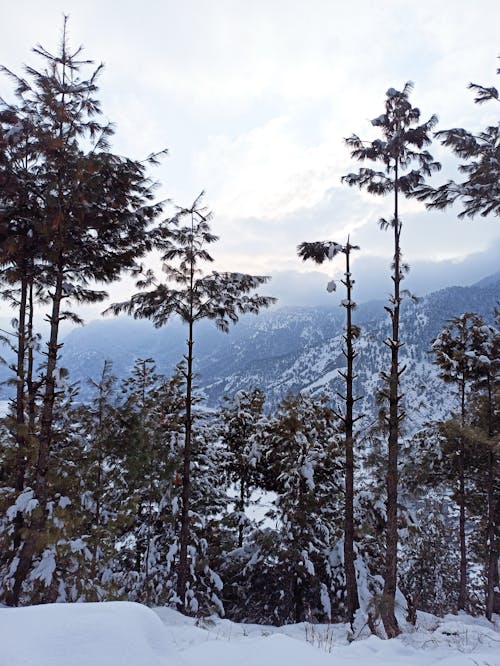 冬季, 垂直拍摄, 山 的 免费素材图片