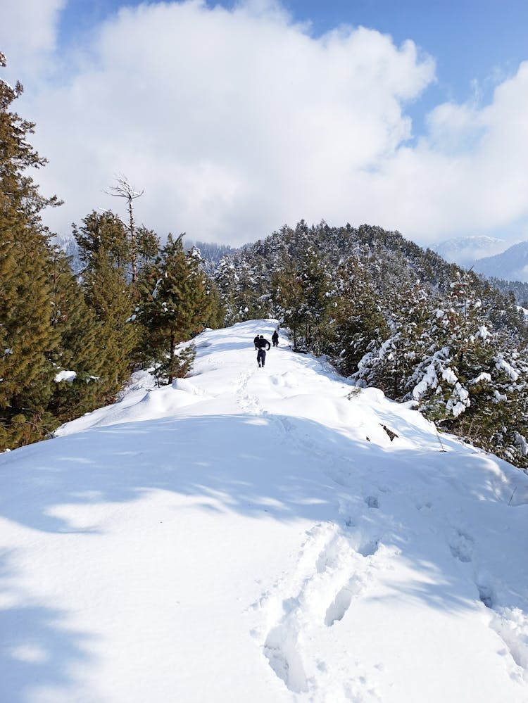 People On Hill In Snow