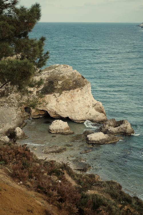 垂直ショット, 岩, 岸の無料の写真素材