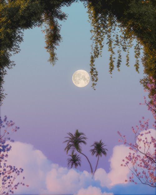 Exotic Trees and Full Moon on Sunset Sky