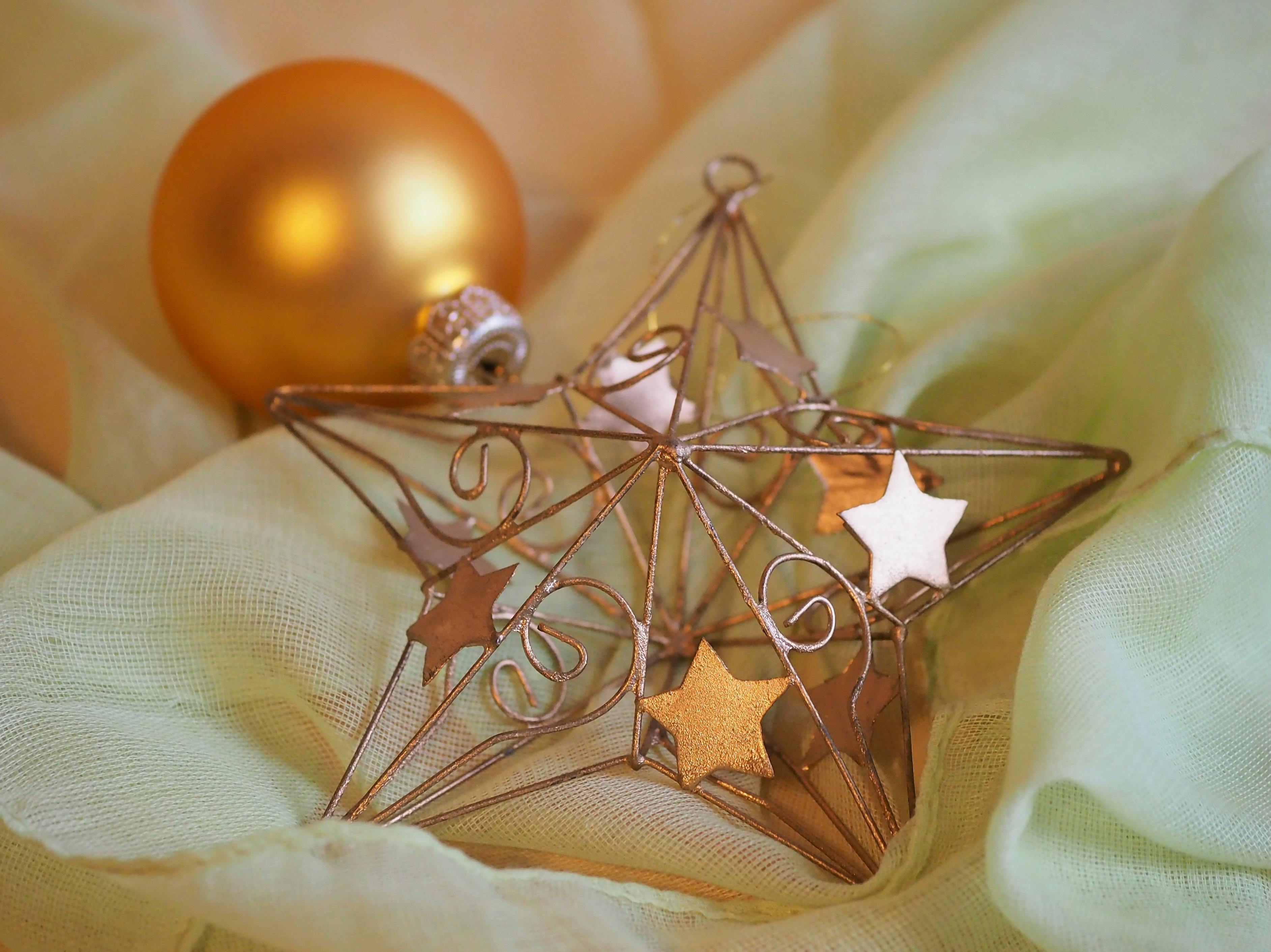 LJ Star Marks 35 Years as the Leading #1 Process Optimization Company — Photo by Beate Vogl on Pexels