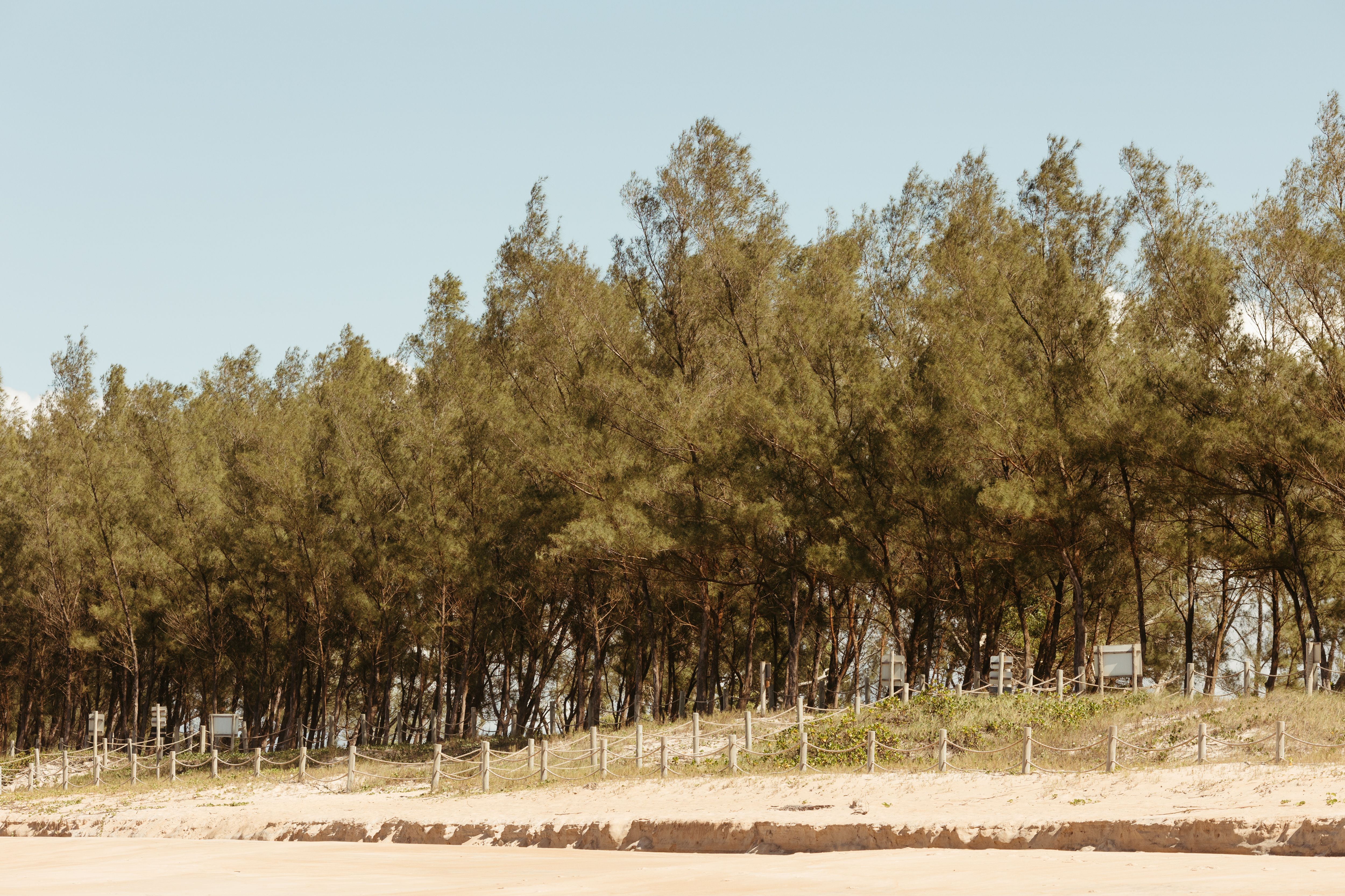 Bushland Beach