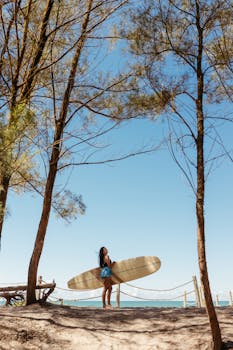 Woman holding surfboard on a sandy beach between trees, clear sunny day.