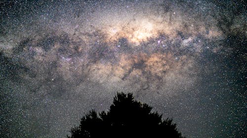 Imagine de stoc gratuită din arbore, astronomie, Calea Lactee