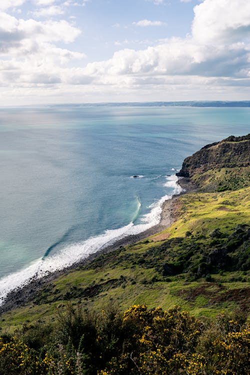 Aerial View of a Coastline 