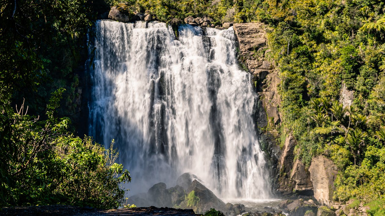 Foto d'estoc gratuïta de arbres, bosc, cascada