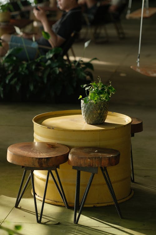 Plant on Table with Wooden Chairs near