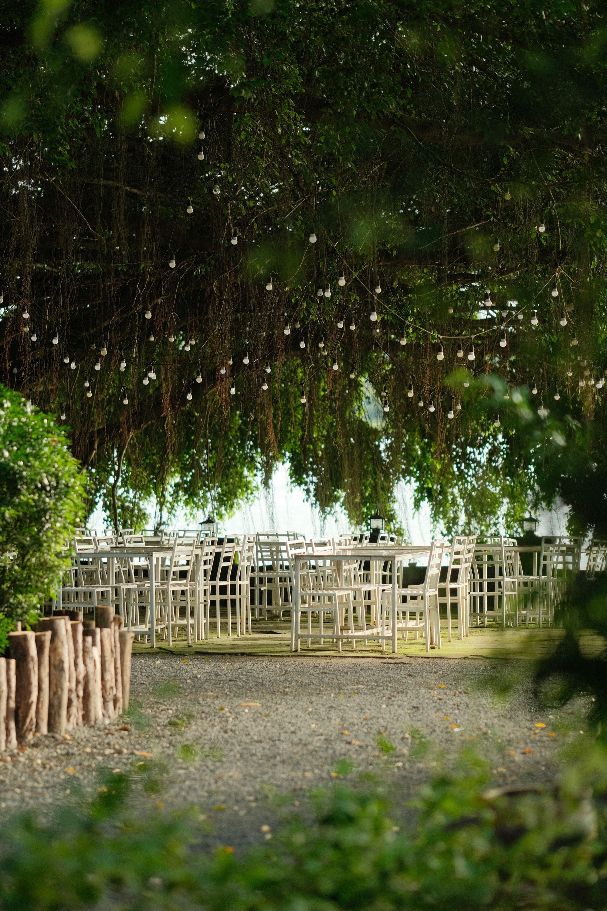 Warm white string lights strung above a gravel patio surface with small potted plants dotting the gravel
