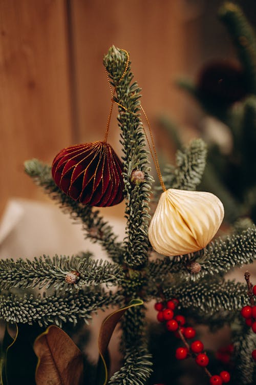 Free Christmas Decoration on Fir Tree Stock Photo
