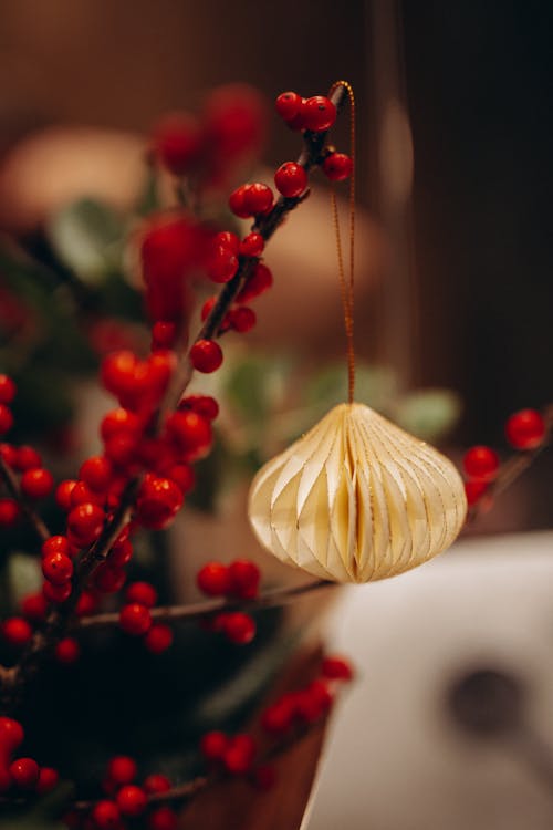 Foto d'estoc gratuïta de baies, bola de Nadal, decoració