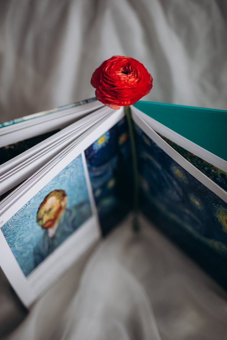 Flower In Book With Paintings