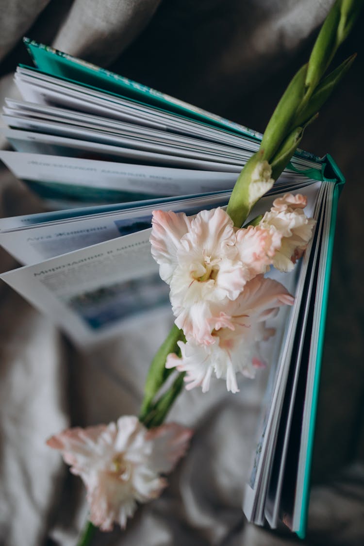 Flowers In Book