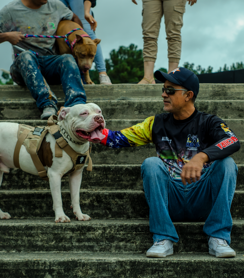 Free A man enjoys the company of his bulldog on outdoor steps in San Cristóbal, Venezuela. Stock Photo