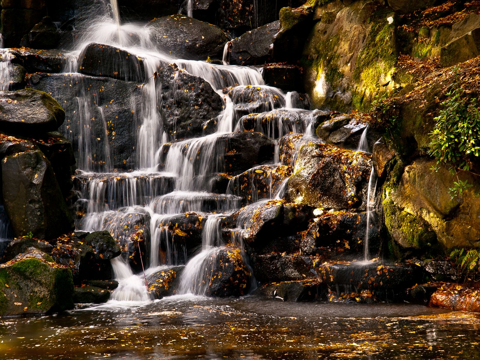 Waterfall on Rocks · Free Stock Photo