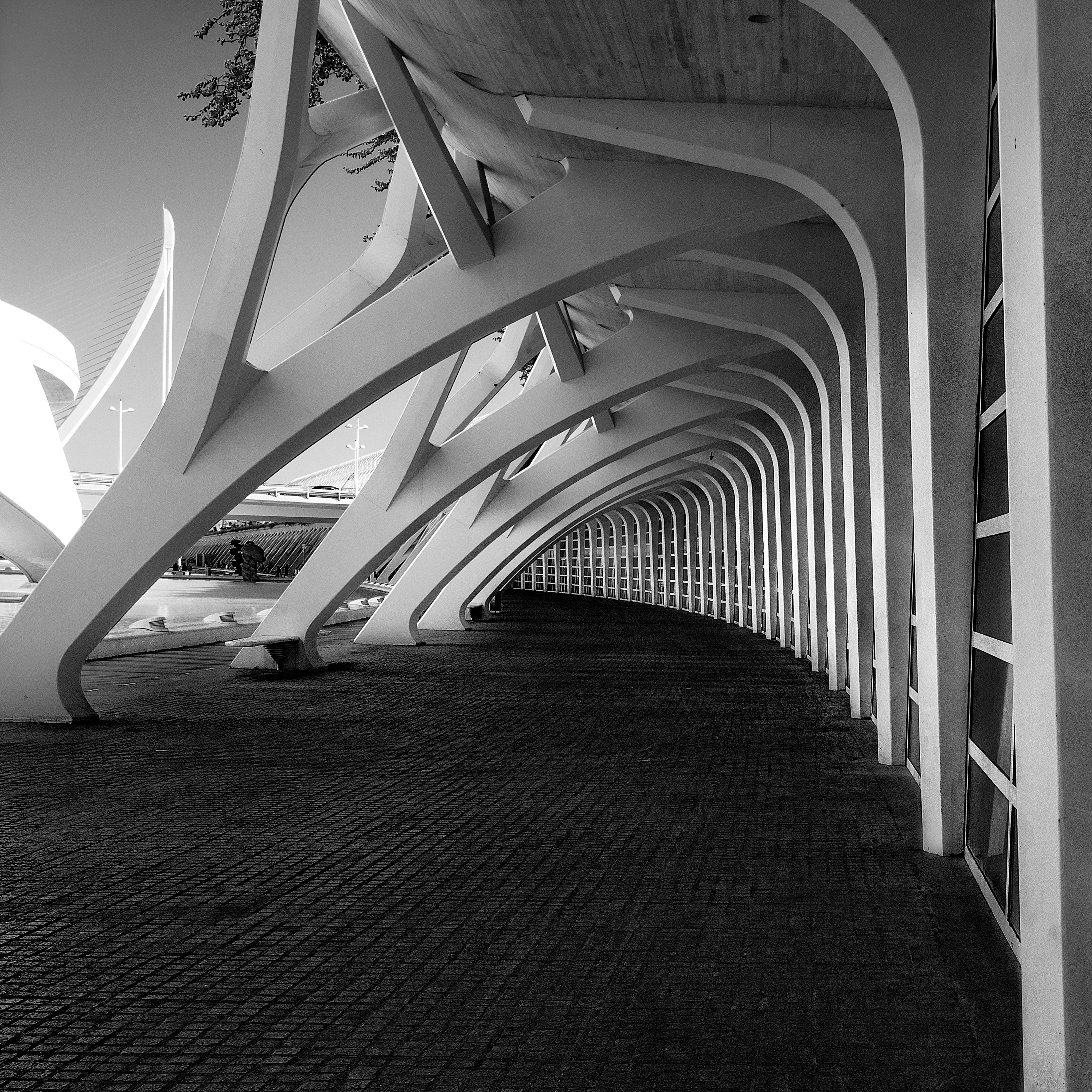 City of Arts and Sciences in Valencia in Black and White