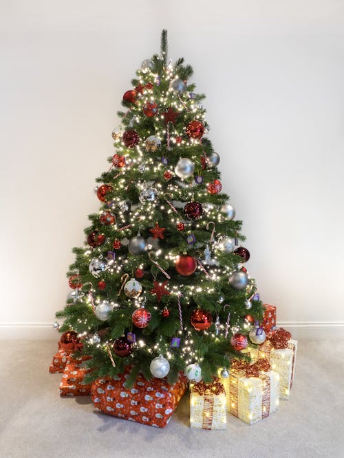 Christmas Tree and Gifts Boxes