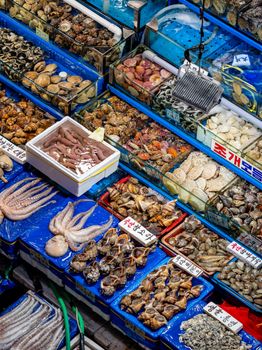 A variety of fresh seafood displayed at a bustling market in Seoul, showcasing local culinary culture.