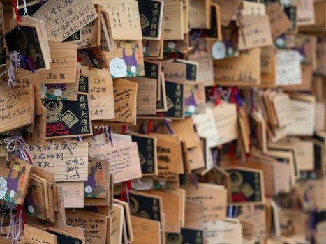 Japanese wooden ema plaque collection hanging in a Tokyo shrine, featuring handwritten wishes.