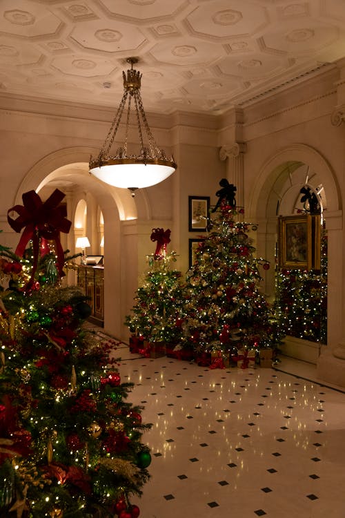 Foto profissional grátis de árvores de natal, candelabro, decoração