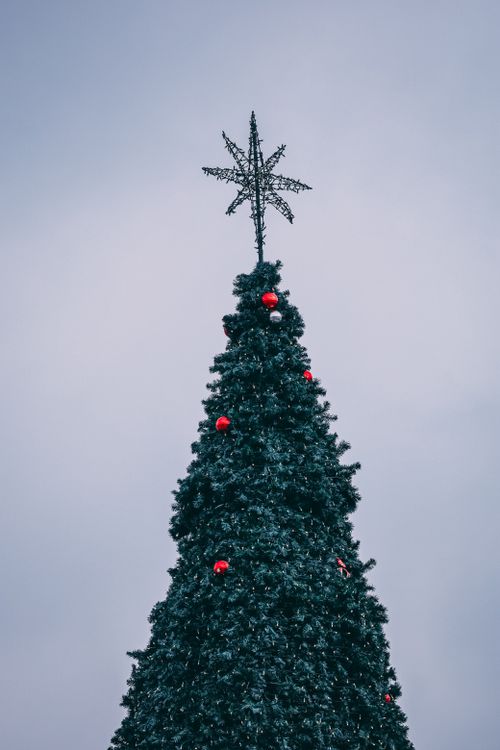 Free Tall Christmas tree adorned with red baubles and a star, photographed outdoors in Sarajevo. Stock Photo
