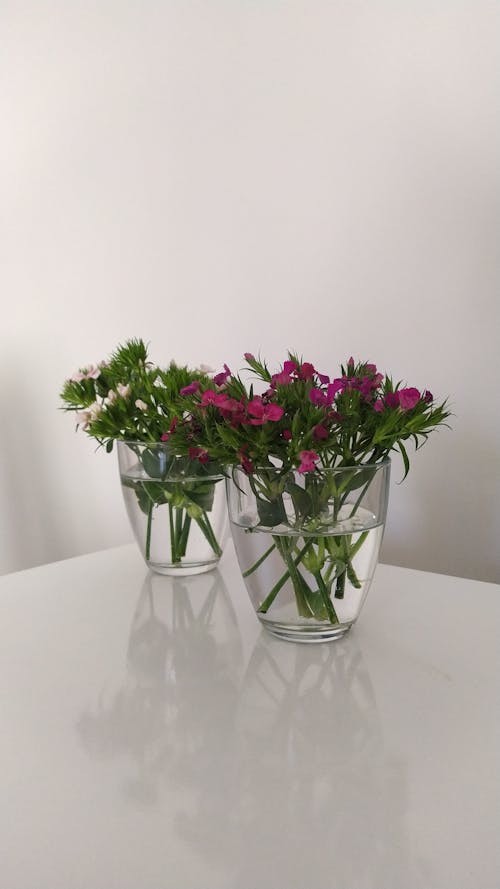 Imagine de stoc gratuită din aranjament floral, buchete, design interior
