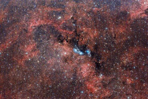 Foto d'estoc gratuïta de cygnus, nebulós, nebulosa