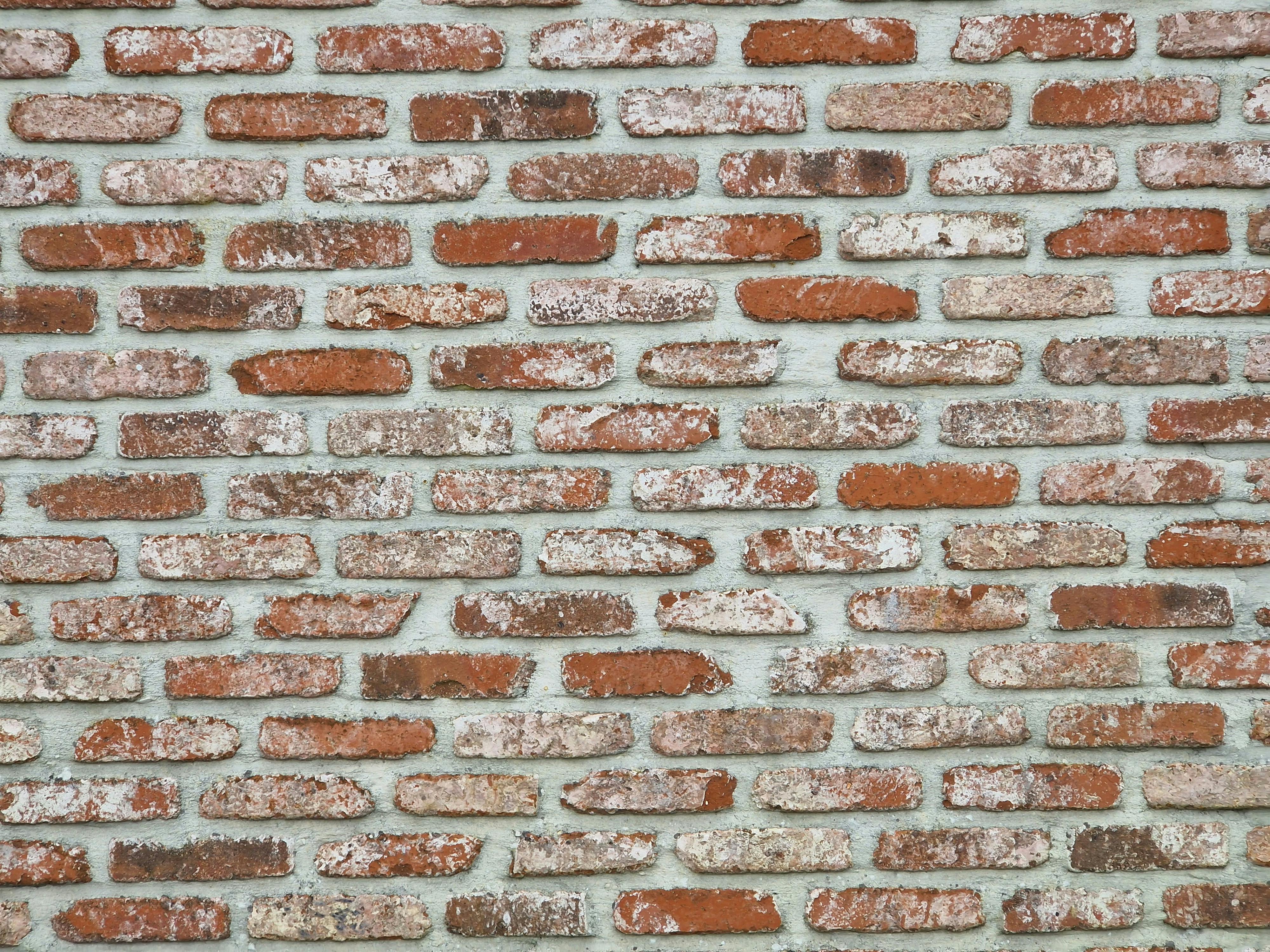 Kostenlos Kostenloses Stock Foto zu alte wand, antik, architektur Stock-Foto