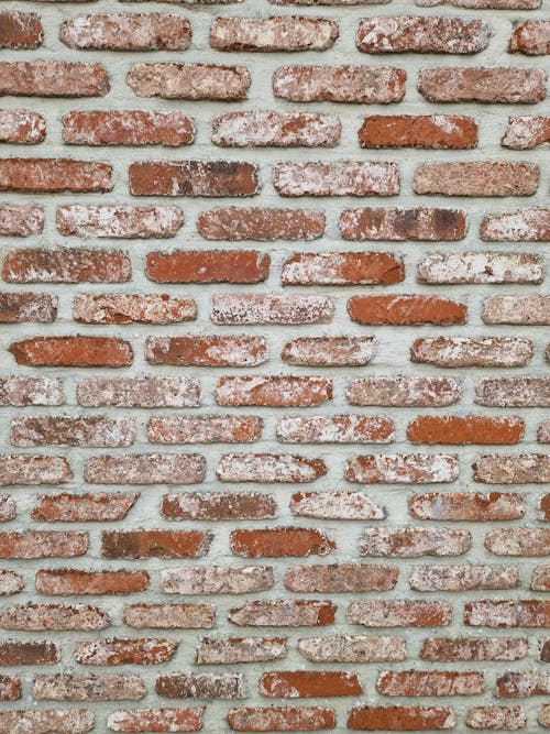 Solid Brick Wall Texture