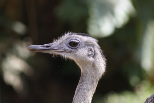 Free Hi there! Stock Photo