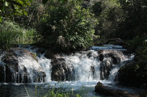 Waterfall in Forest