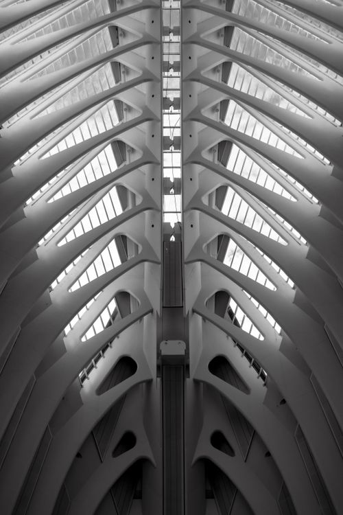 Free Black and white photo of a modern architectural vault with unique ceiling structure. Stock Photo