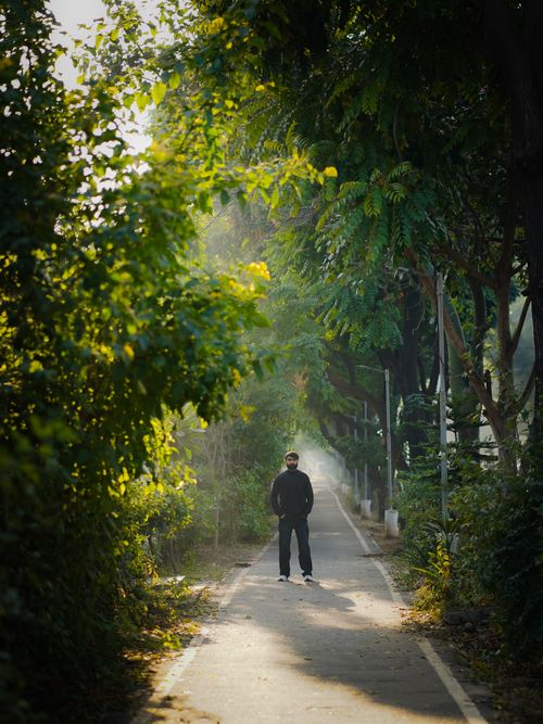 Free A man in black walks along a lush, tree-lined path in Chandigarh, India. Stock Photo