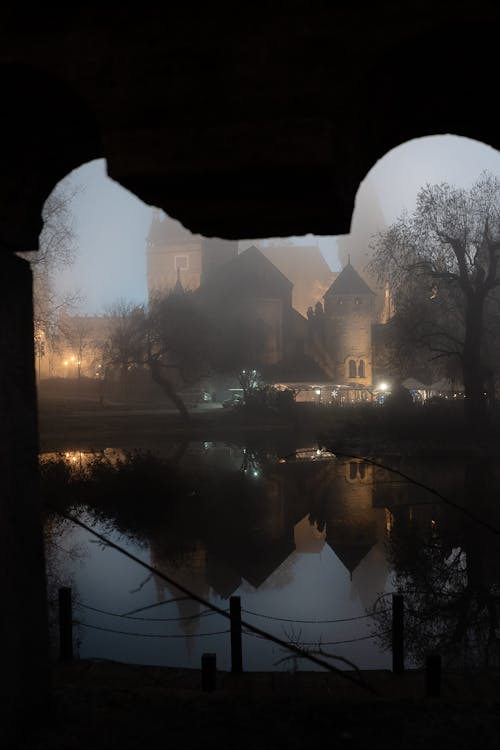 Foto profissional grátis de acima da água, alvorecer, árvore